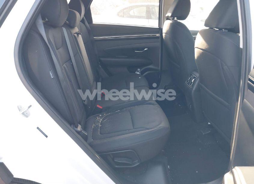 Photo 8 of 2024 Hyundai Tucson SEL (VIN 5NMJBCDE2RH315126)