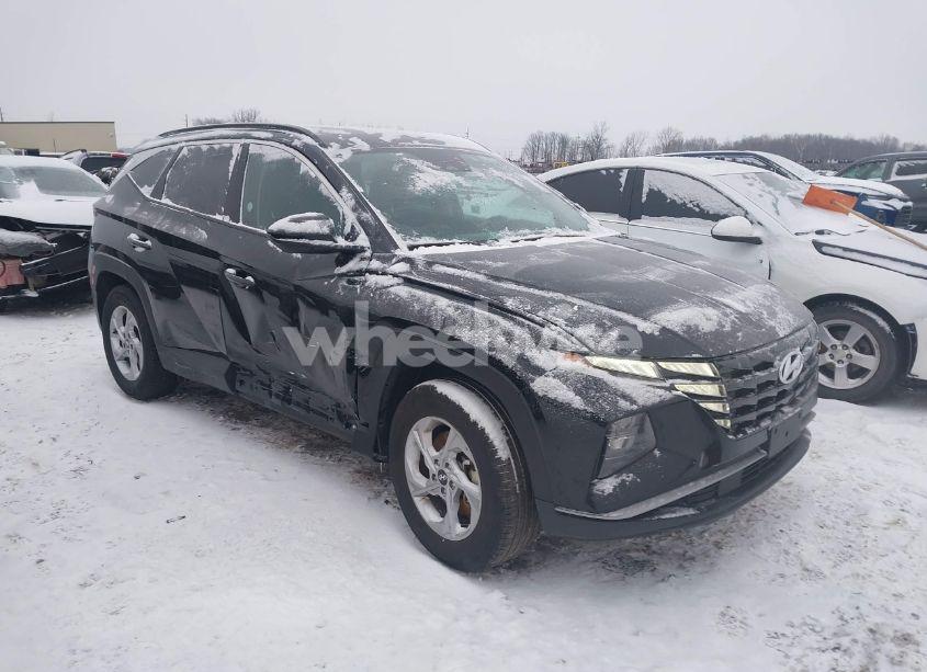 2024 Hyundai Tucson SEL (VIN 5NMJBCDE2RH330337) main photo