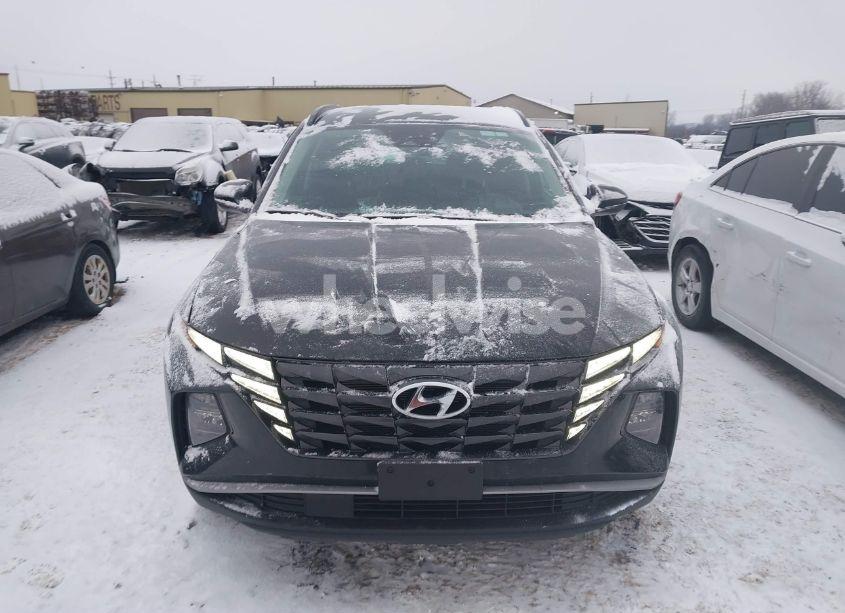 Photo 12 of 2024 Hyundai Tucson SEL (VIN 5NMJBCDE2RH330337)