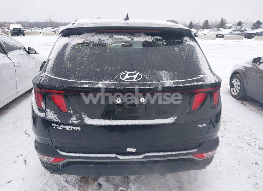 Photo 16 of 2024 Hyundai Tucson SEL (VIN 5NMJBCDE2RH330337)