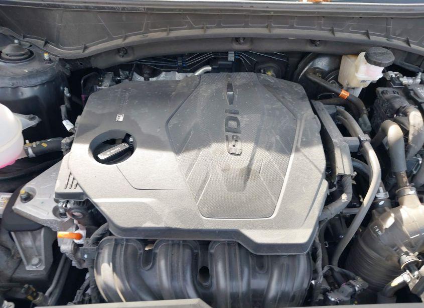 Photo 10 of 2024 Hyundai Tucson SEL (VIN 5NMJBCDE2RH340902)