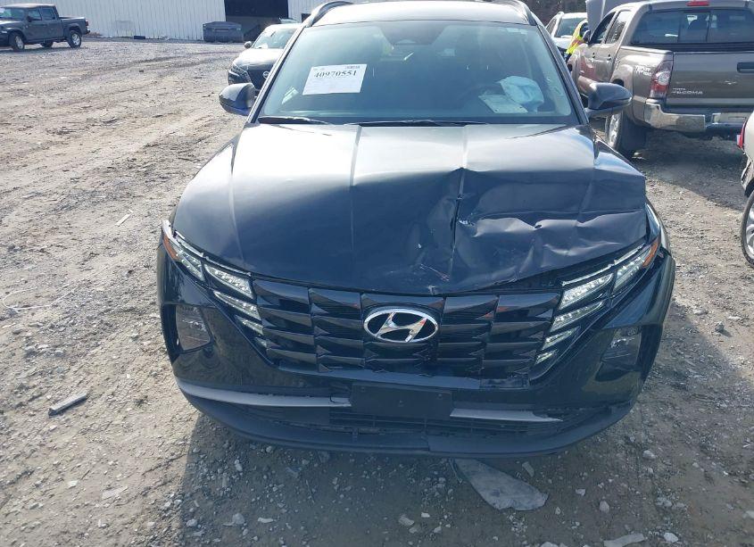 Photo 12 of 2024 Hyundai Tucson SEL (VIN 5NMJBCDE2RH340902)
