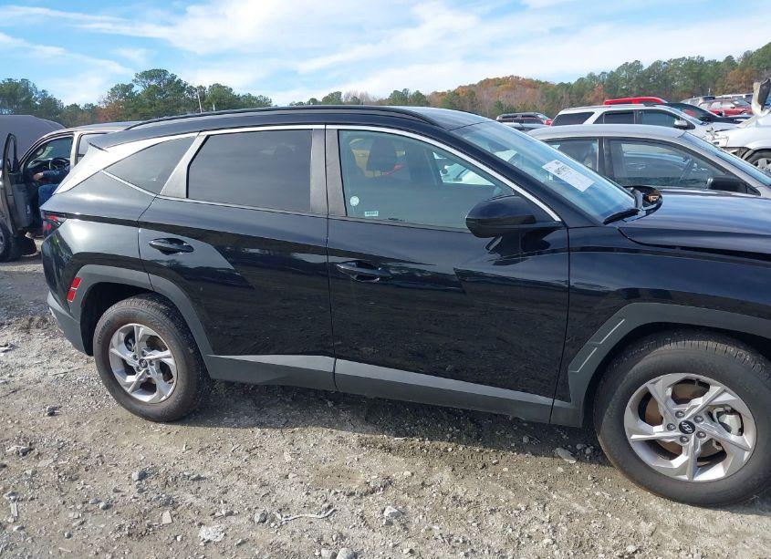 Photo 13 of 2024 Hyundai Tucson SEL (VIN 5NMJBCDE2RH340902)