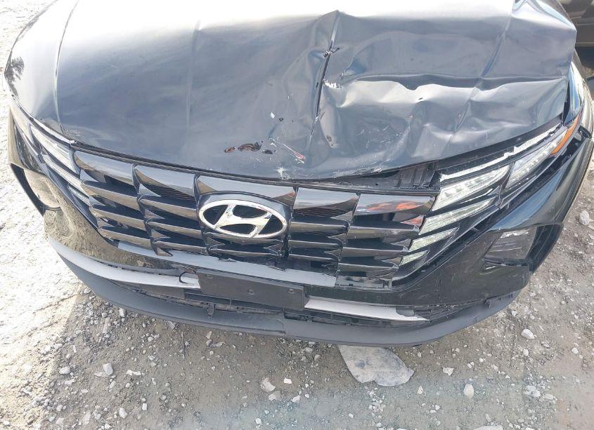 Photo 6 of 2024 Hyundai Tucson SEL (VIN 5NMJBCDE2RH340902)