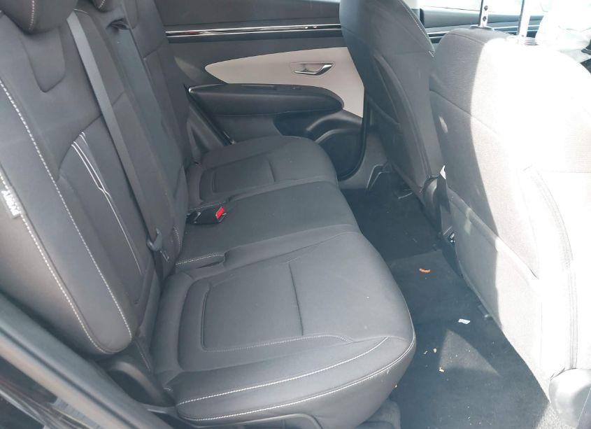 Photo 8 of 2024 Hyundai Tucson SEL (VIN 5NMJBCDE2RH340902)