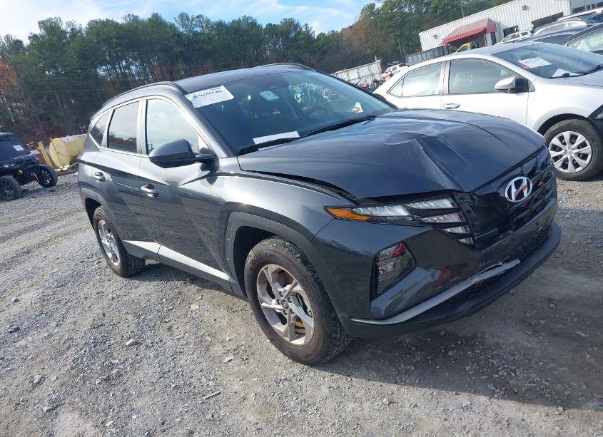 2024 Hyundai Tucson SEL (VIN 5NMJBCDE2RH342181) main photo