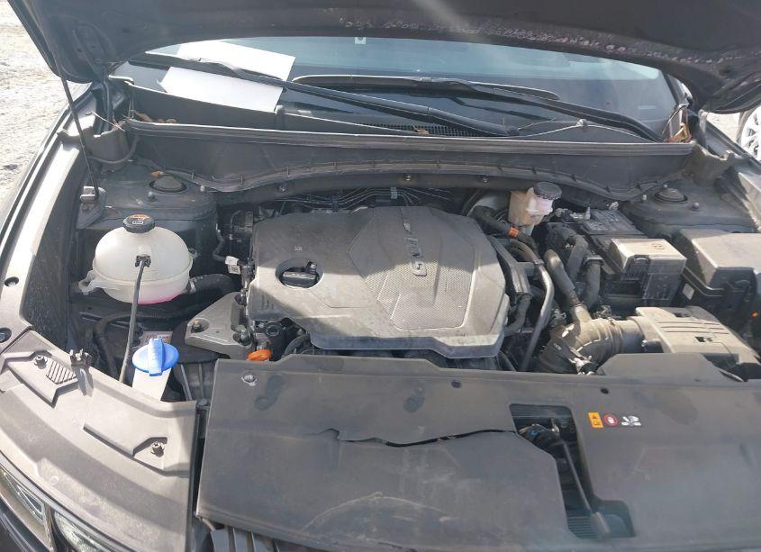 Photo 10 of 2024 Hyundai Tucson SEL (VIN 5NMJBCDE2RH342181)