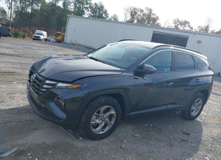 Photo 14 of 2024 Hyundai Tucson SEL (VIN 5NMJBCDE2RH342181)