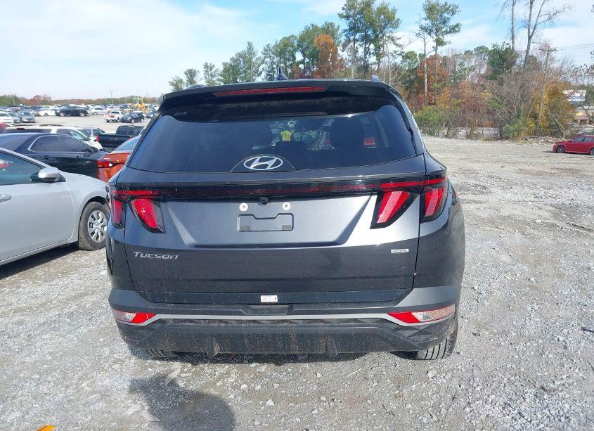 Photo 16 of 2024 Hyundai Tucson SEL (VIN 5NMJBCDE2RH342181)