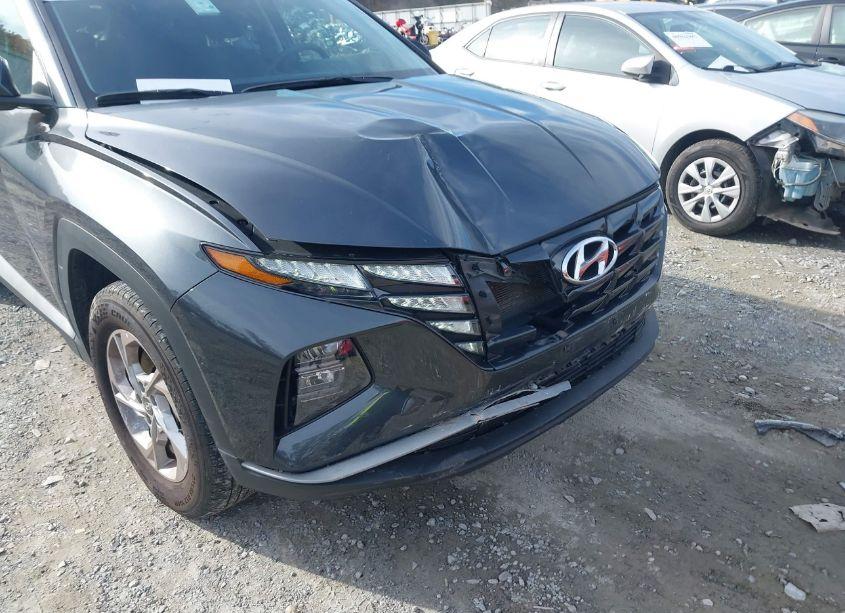 Photo 6 of 2024 Hyundai Tucson SEL (VIN 5NMJBCDE2RH342181)