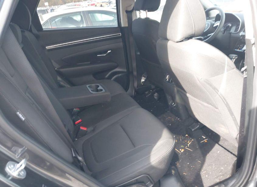 Photo 8 of 2024 Hyundai Tucson SEL (VIN 5NMJBCDE2RH342181)