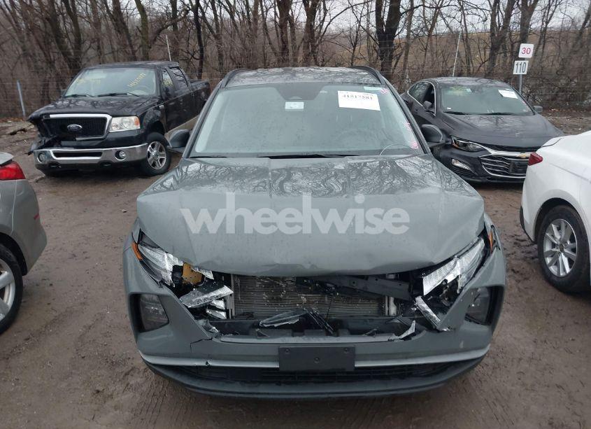 Photo 12 of 2024 Hyundai Tucson SEL (VIN 5NMJBCDE2RH342911)