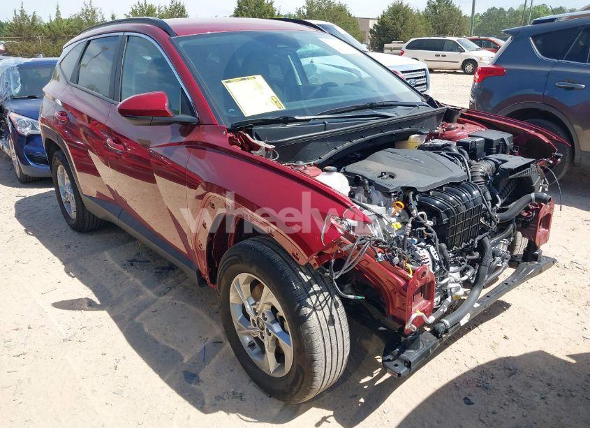 2024 Hyundai Tucson SEL (VIN 5NMJBCDE2RH417168) main photo
