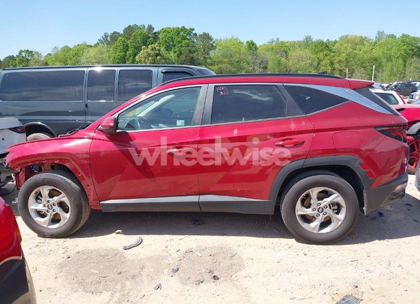 Photo 15 of 2024 Hyundai Tucson SEL (VIN 5NMJBCDE2RH417168)