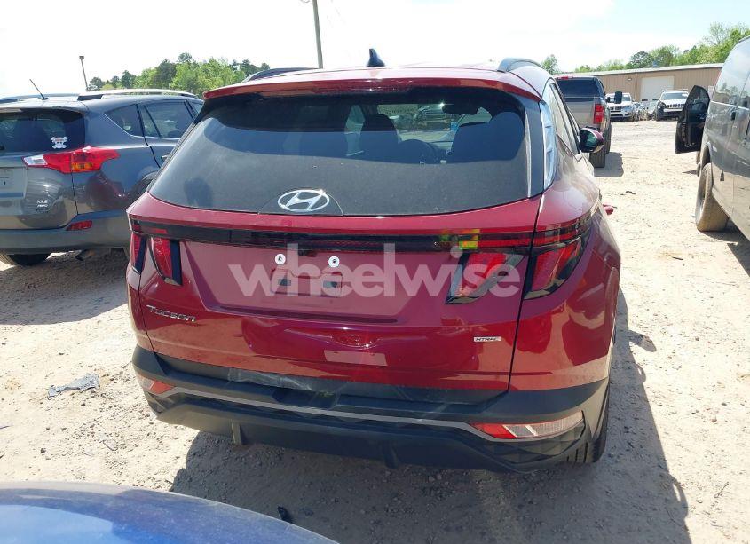 Photo 17 of 2024 Hyundai Tucson SEL (VIN 5NMJBCDE2RH417168)