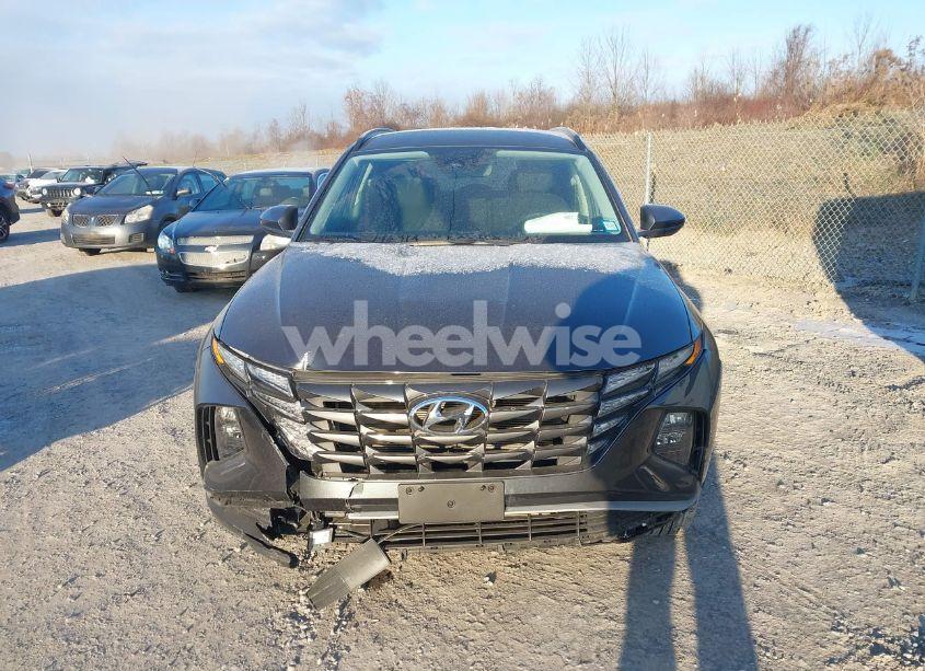 Photo 12 of 2024 Hyundai Tucson SEL (VIN 5NMJBCDE3RH319783)