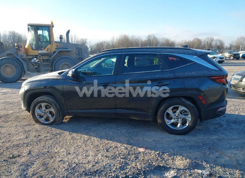 Photo 14 of 2024 Hyundai Tucson SEL (VIN 5NMJBCDE3RH319783)