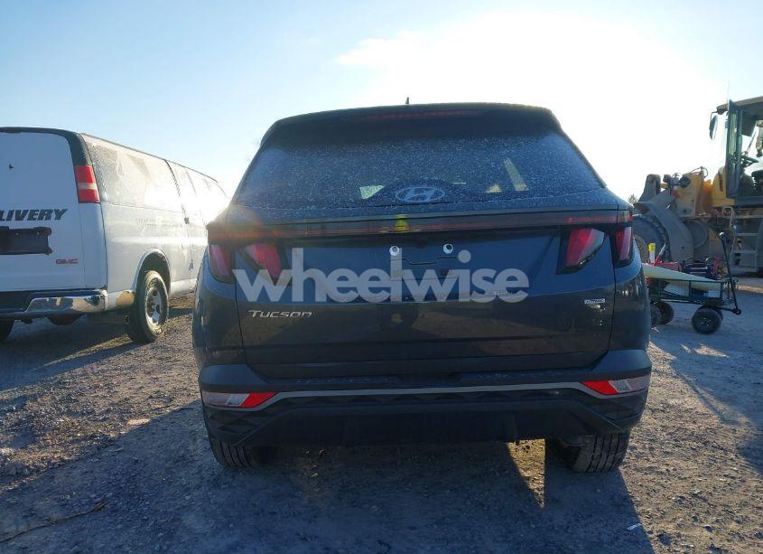 Photo 16 of 2024 Hyundai Tucson SEL (VIN 5NMJBCDE3RH319783)