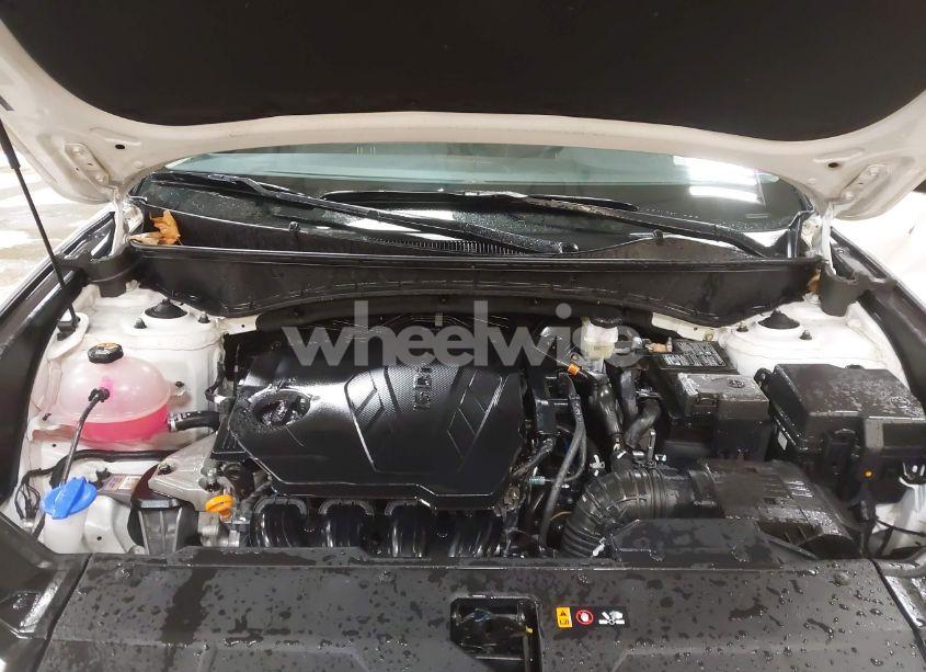 Photo 10 of 2024 Hyundai Tucson SEL (VIN 5NMJBCDE3RH332498)