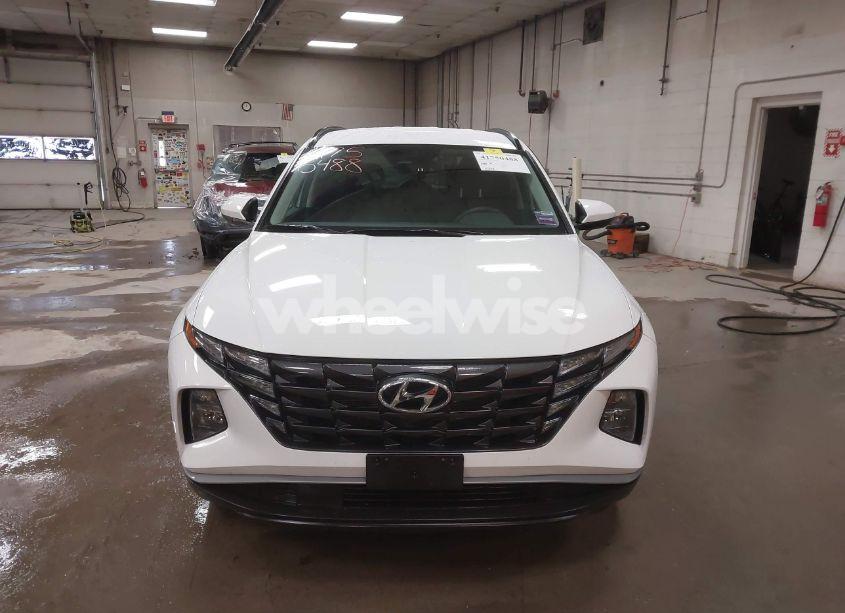 Photo 12 of 2024 Hyundai Tucson SEL (VIN 5NMJBCDE3RH332498)