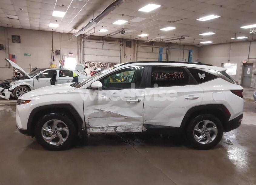 Photo 14 of 2024 Hyundai Tucson SEL (VIN 5NMJBCDE3RH332498)