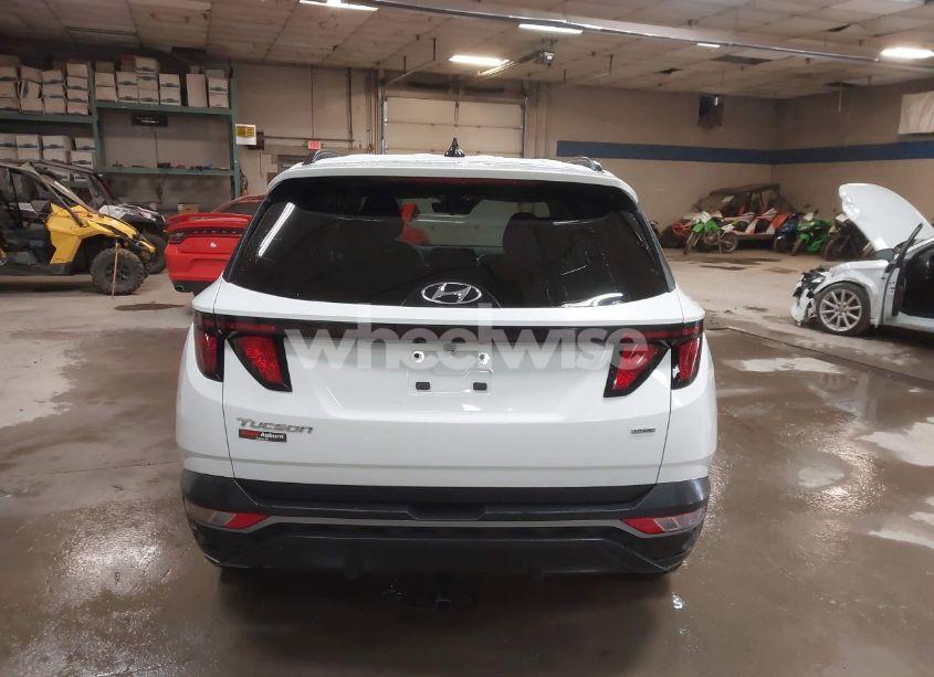 Photo 16 of 2024 Hyundai Tucson SEL (VIN 5NMJBCDE3RH332498)