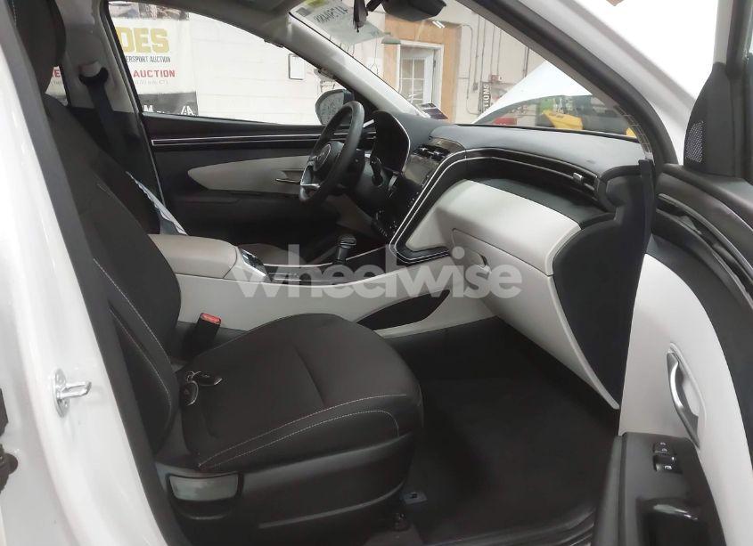 Photo 5 of 2024 Hyundai Tucson SEL (VIN 5NMJBCDE3RH332498)