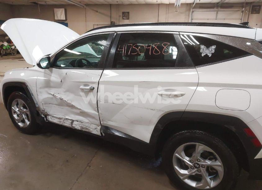Photo 6 of 2024 Hyundai Tucson SEL (VIN 5NMJBCDE3RH332498)