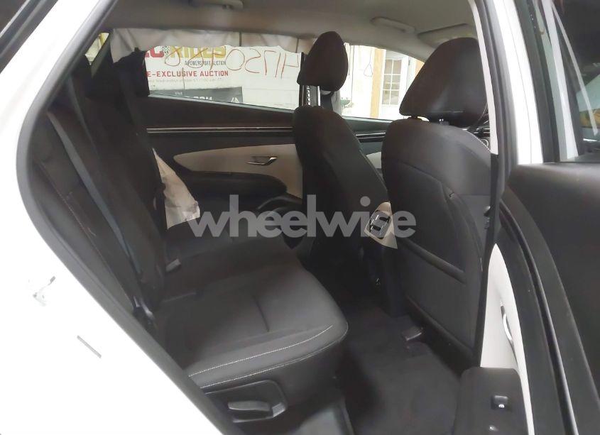 Photo 8 of 2024 Hyundai Tucson SEL (VIN 5NMJBCDE3RH332498)