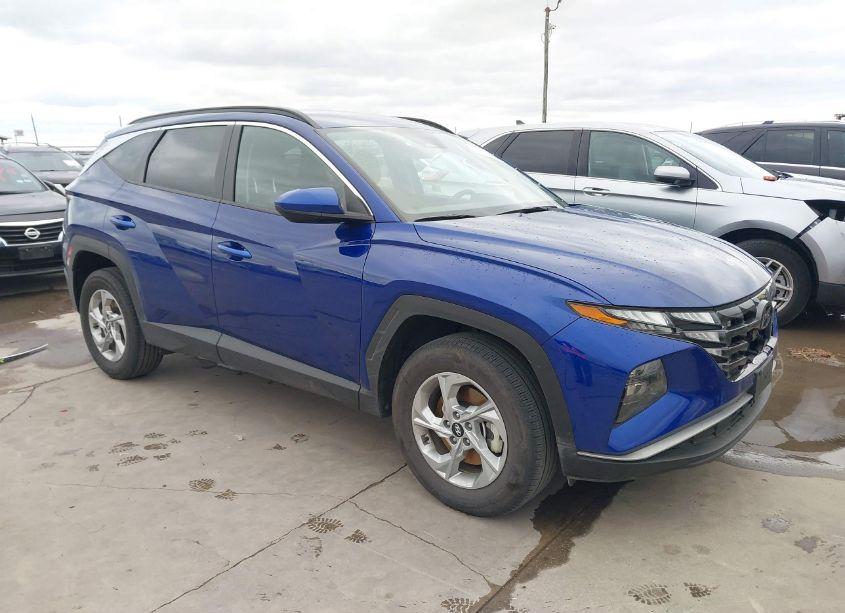 2024 Hyundai Tucson SEL (VIN 5NMJBCDE3RH353786) main photo