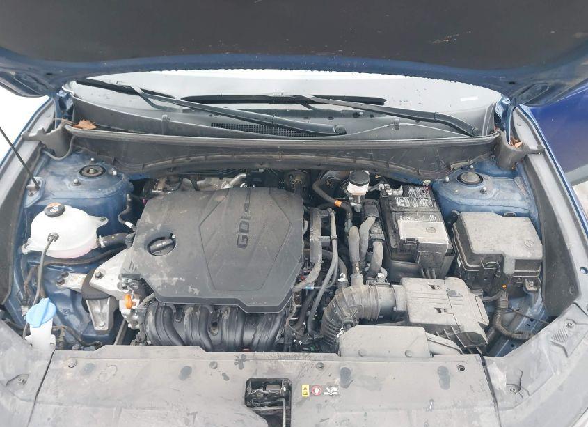 Photo 10 of 2024 Hyundai Tucson SEL (VIN 5NMJBCDE3RH353786)