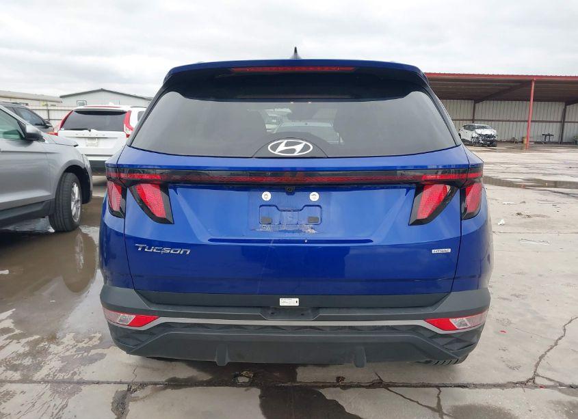 Photo 16 of 2024 Hyundai Tucson SEL (VIN 5NMJBCDE3RH353786)