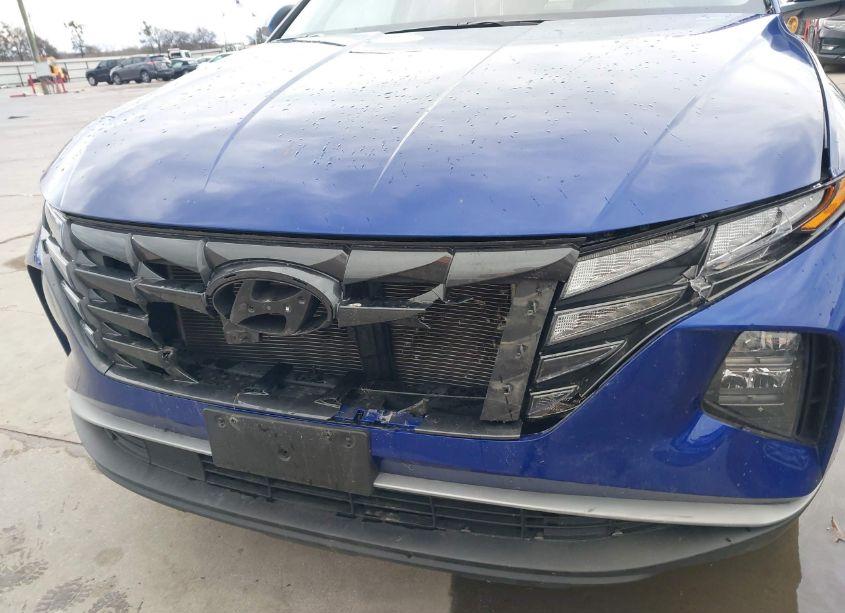 Photo 6 of 2024 Hyundai Tucson SEL (VIN 5NMJBCDE3RH353786)