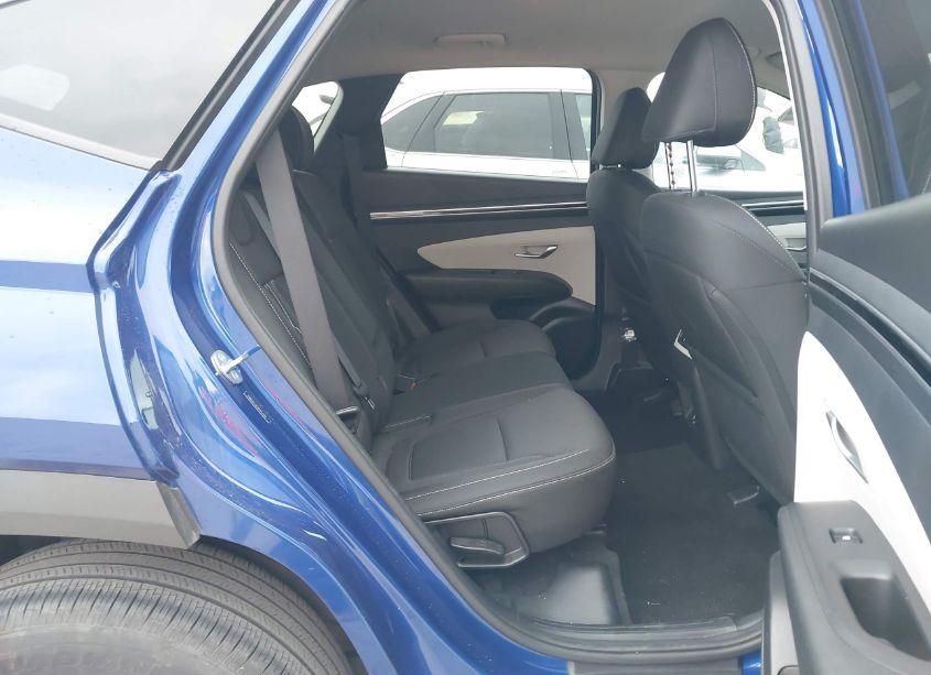 Photo 8 of 2024 Hyundai Tucson SEL (VIN 5NMJBCDE3RH353786)