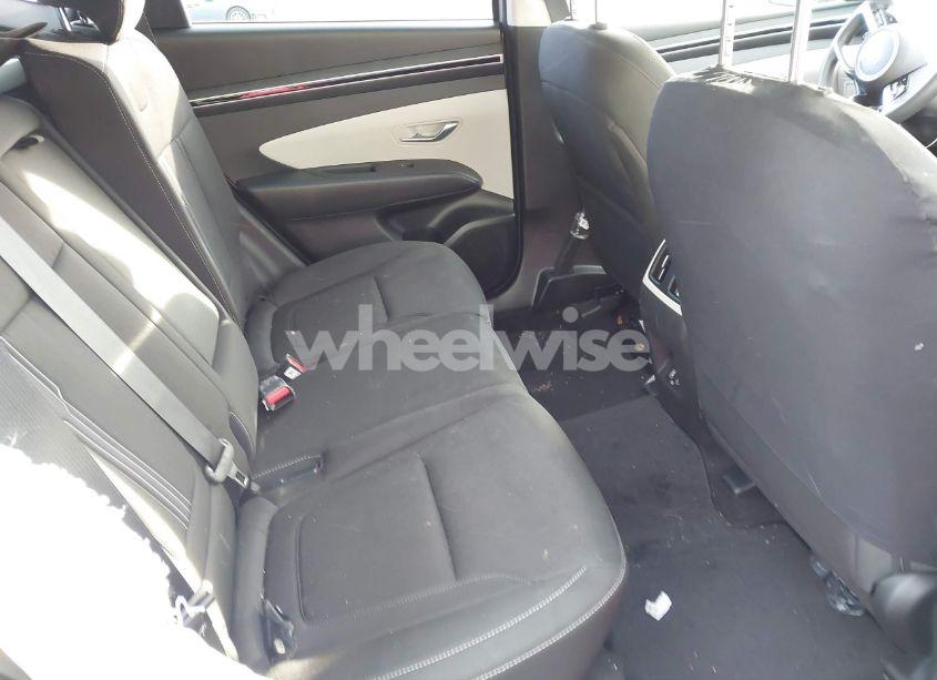 Photo 8 of 2024 Hyundai Tucson SEL (VIN 5NMJBCDE3RH364366)
