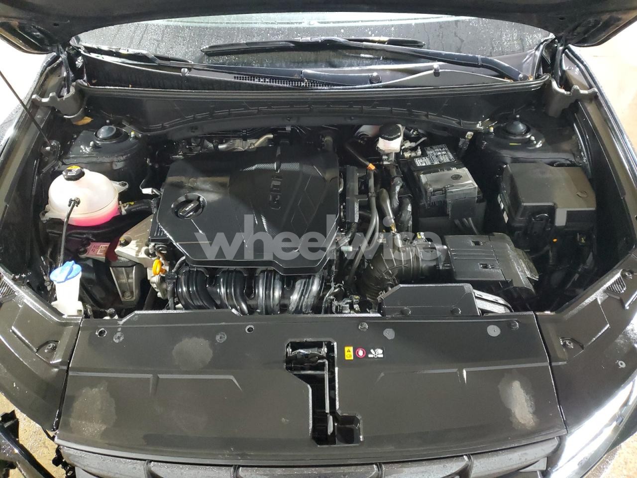 Photo 12 of 2024 HYUNDAI TUCSON SEL (VIN 5NMJBCDE3RH386920)