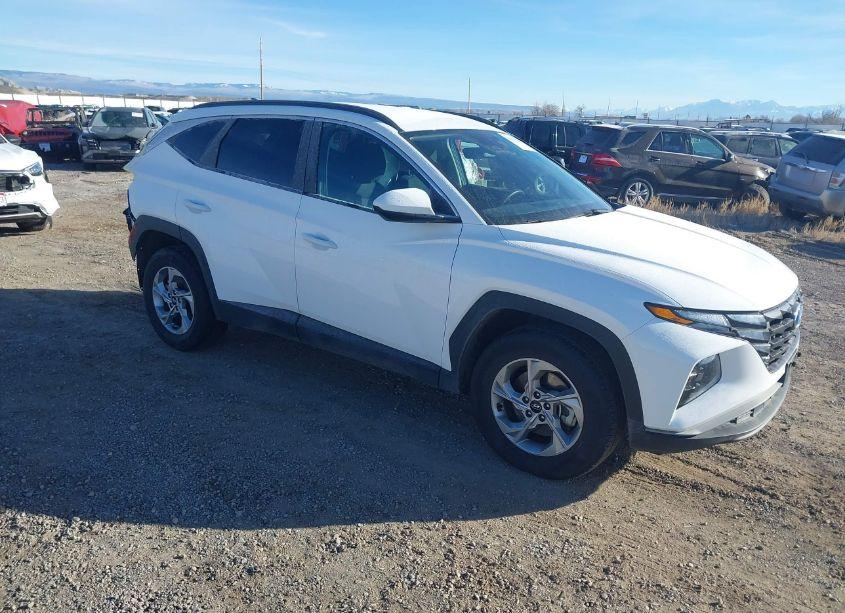 2024 Hyundai Tucson SEL (VIN 5NMJBCDE3RH420421) main photo