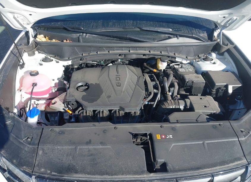 Photo 10 of 2024 Hyundai Tucson SEL (VIN 5NMJBCDE3RH420421)