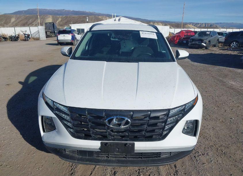Photo 13 of 2024 Hyundai Tucson SEL (VIN 5NMJBCDE3RH420421)