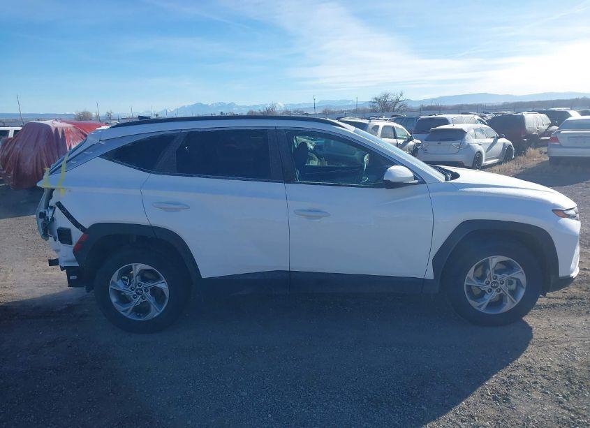 Photo 14 of 2024 Hyundai Tucson SEL (VIN 5NMJBCDE3RH420421)