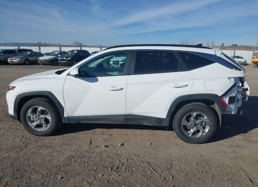 Photo 15 of 2024 Hyundai Tucson SEL (VIN 5NMJBCDE3RH420421)