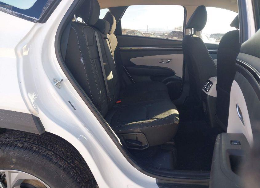 Photo 8 of 2024 Hyundai Tucson SEL (VIN 5NMJBCDE3RH420421)