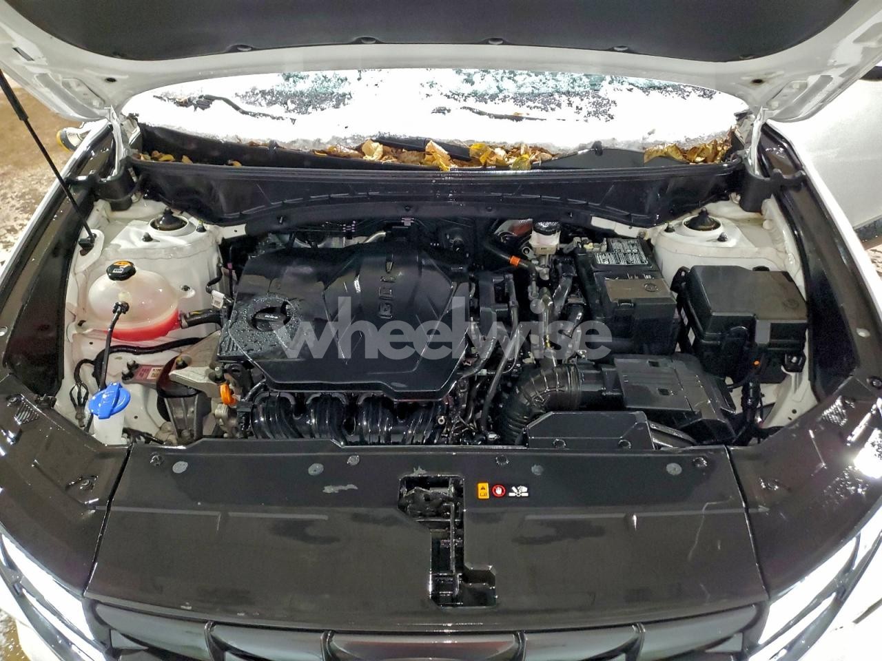 Photo 12 of 2024 HYUNDAI TUCSON SEL (VIN 5NMJBCDE4RH297244)