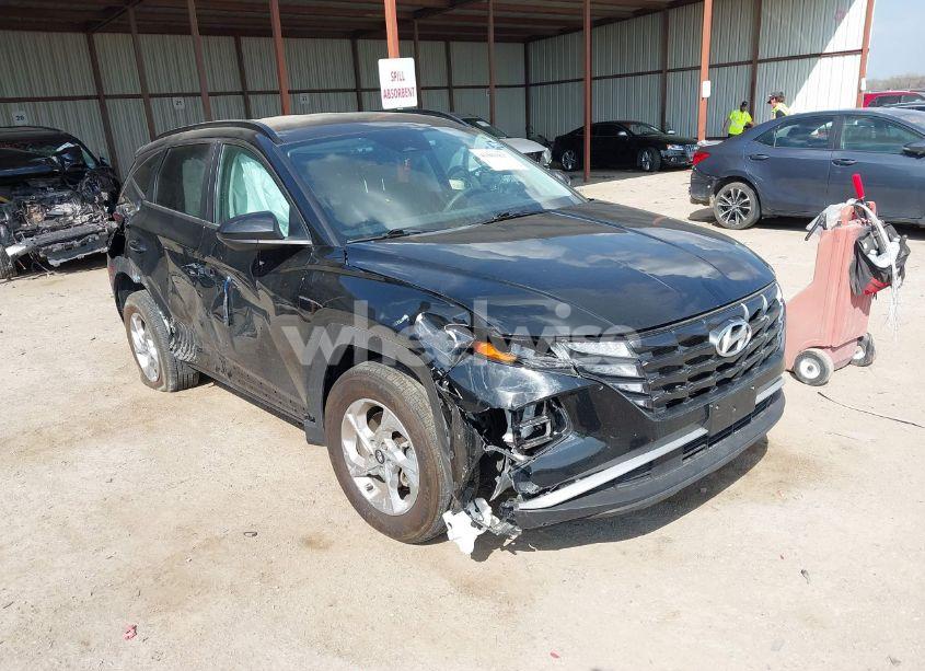 2024 Hyundai Tucson SEL (VIN 5NMJBCDE4RH300160) main photo
