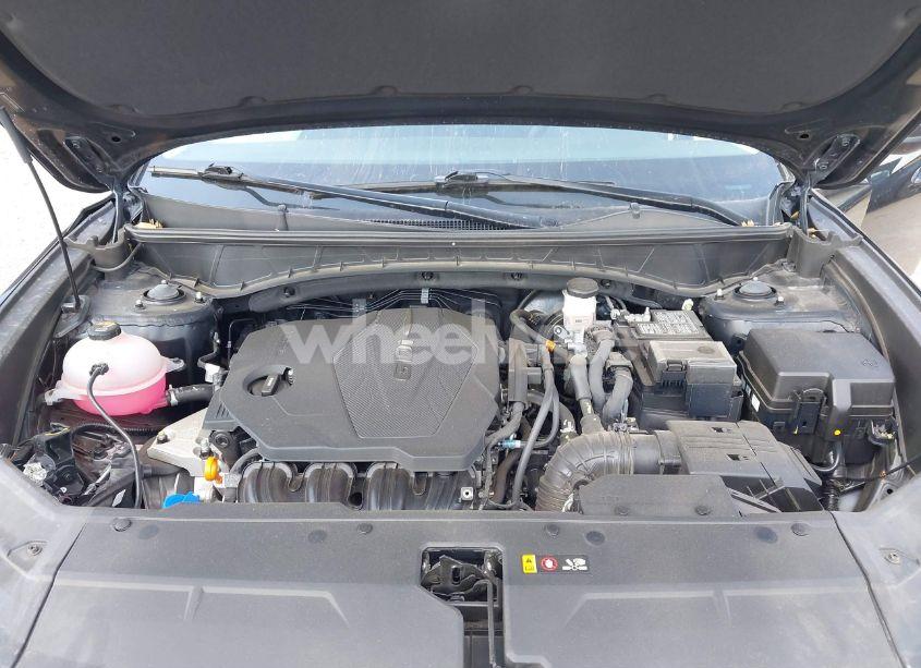 Photo 10 of 2024 Hyundai Tucson SEL (VIN 5NMJBCDE4RH300160)