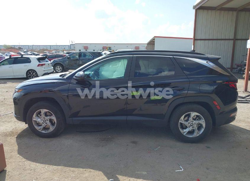 Photo 14 of 2024 Hyundai Tucson SEL (VIN 5NMJBCDE4RH300160)
