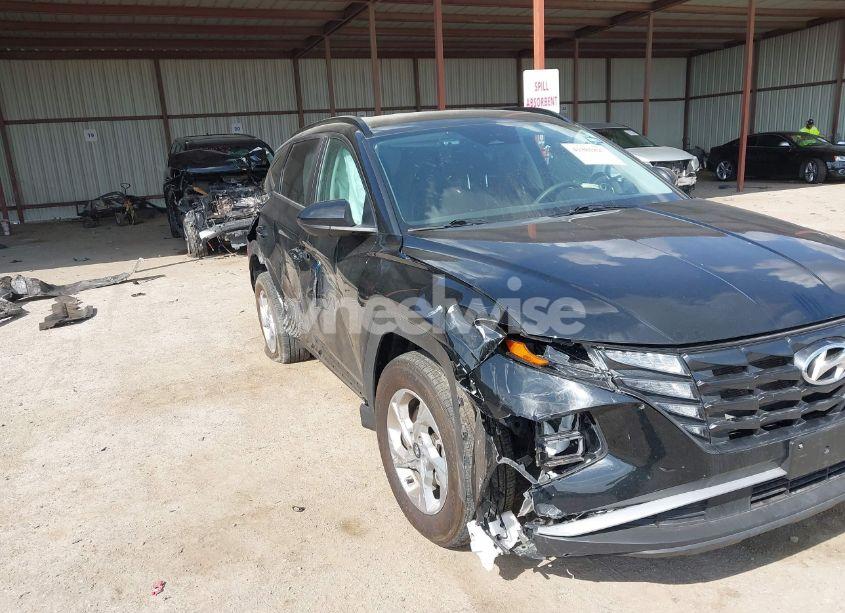 Photo 6 of 2024 Hyundai Tucson SEL (VIN 5NMJBCDE4RH300160)