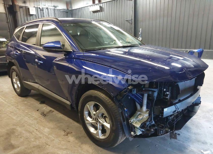 2024 Hyundai Tucson SEL (VIN 5NMJBCDE4RH319145) main photo