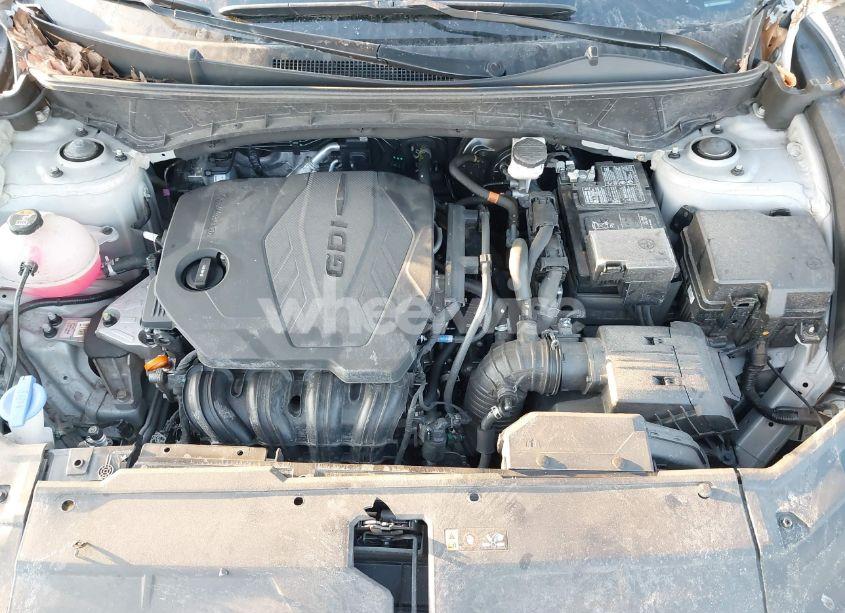 Photo 10 of 2024 Hyundai Tucson SEL (VIN 5NMJBCDE4RH319470)