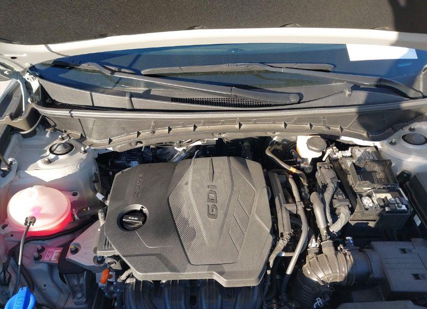 Photo 10 of 2024 Hyundai Tucson SEL (VIN 5NMJBCDE4RH324491)